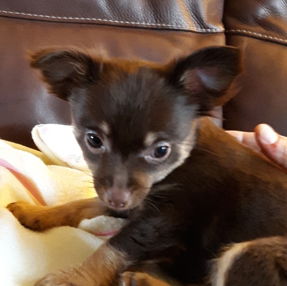 Meet your Posher, !Beth - Picture 5 of 8